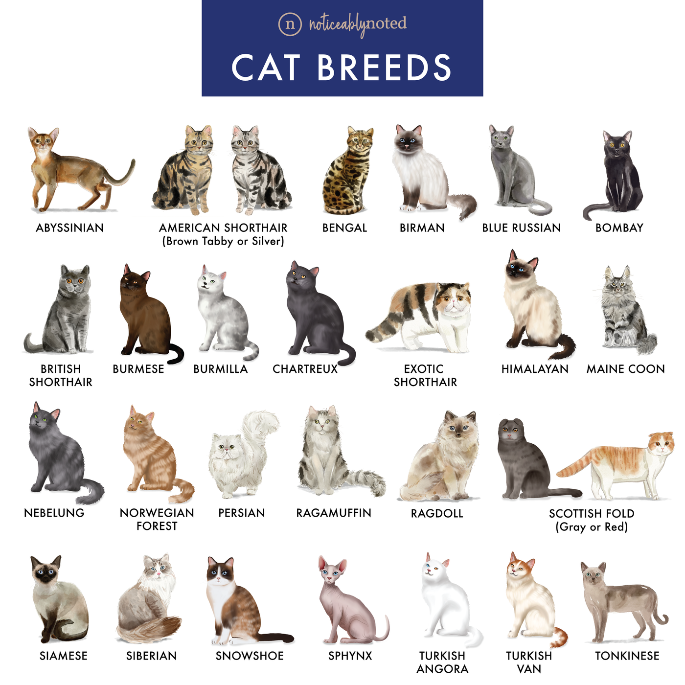 British Shorthair Cat Square Address Labels