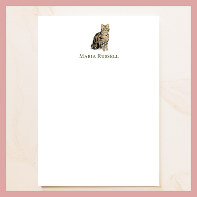 Cat Notepad Collection