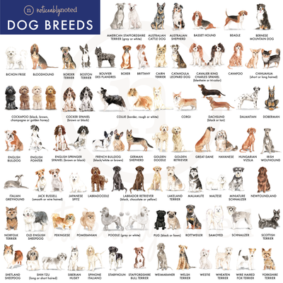 All Available Breeds  | Noticeably Noted