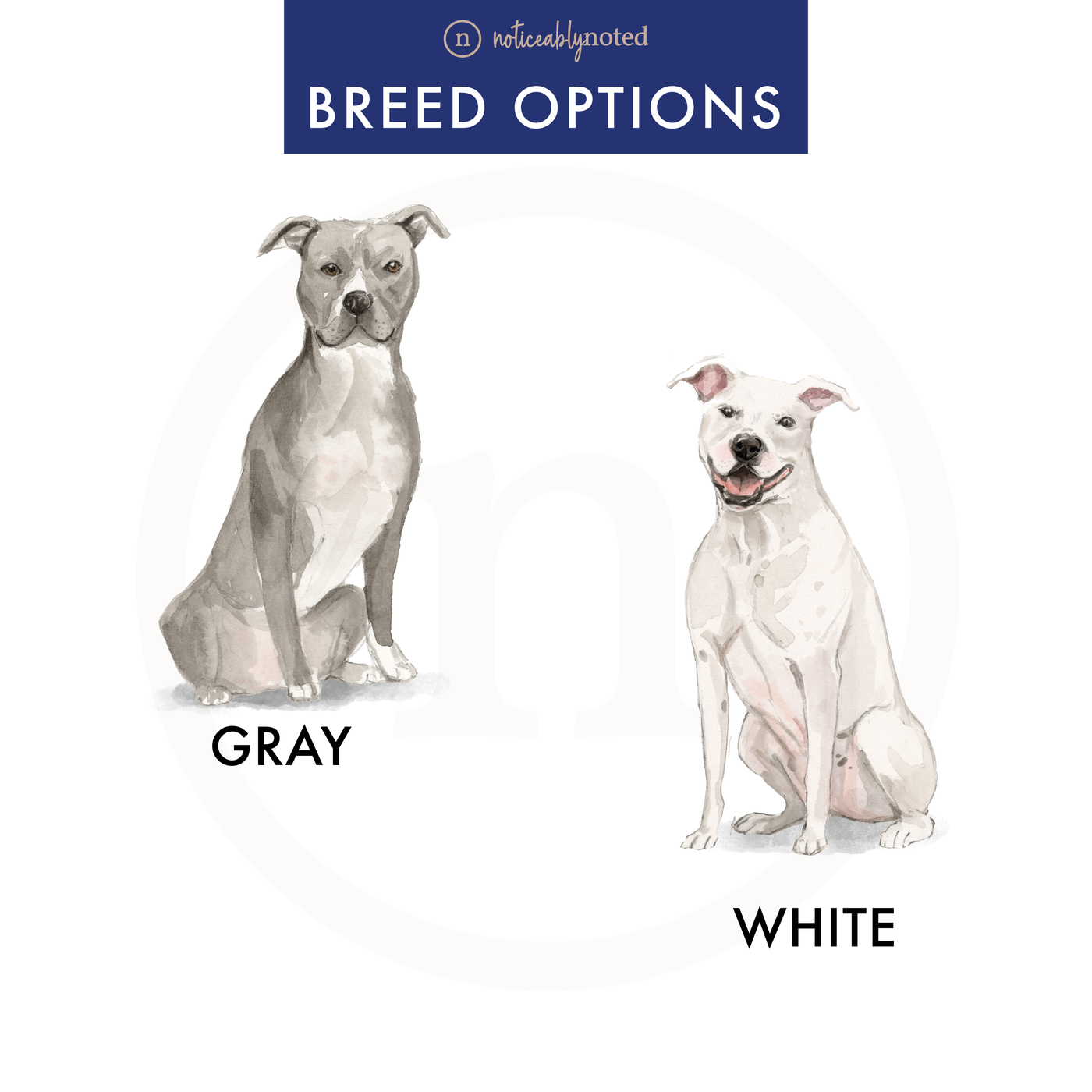 American Staffordshire Terrier Dog Flat Cards