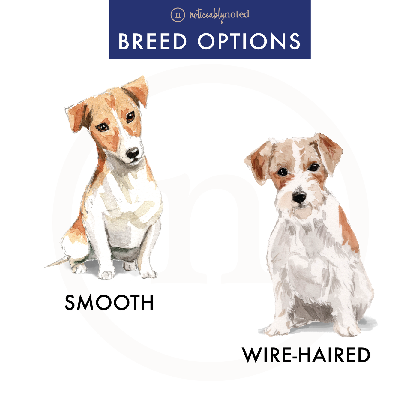 Jack Russell Dog Flat Cards